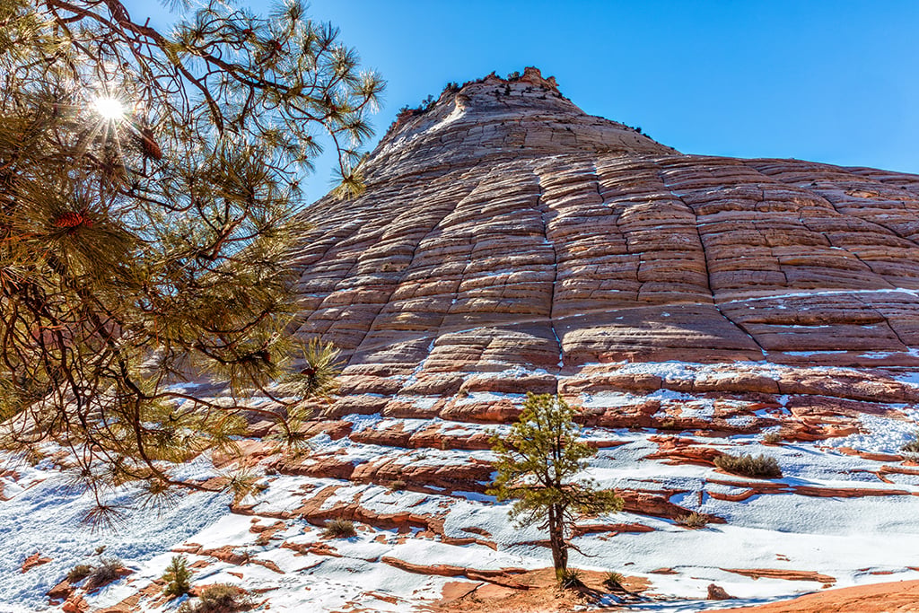 Checkerboard Mesa, Zion National Park / Rebecca Latson Checkerboard Mesa, Zion National Park / Rebecca Latson