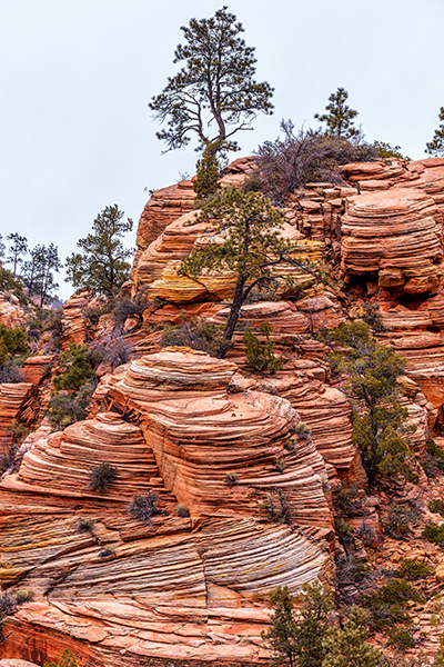 Cross-beds, joints, and geology, Zion National Park / Rebecca Latson