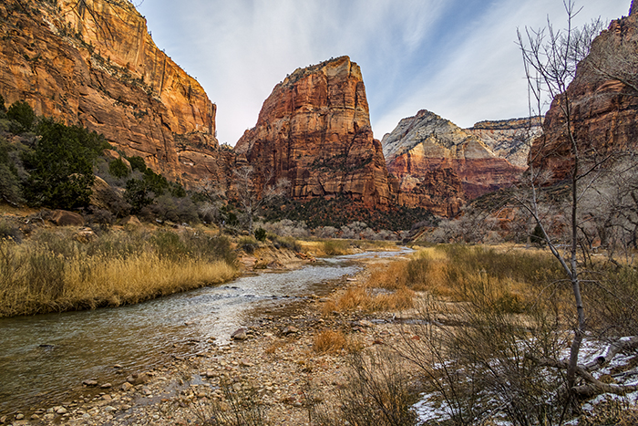 Morning scenery along the Virgin River, Zion National Park / Rebecca Latson Morning scenery along the Virgin River, Zion National Park / Rebecca Latson