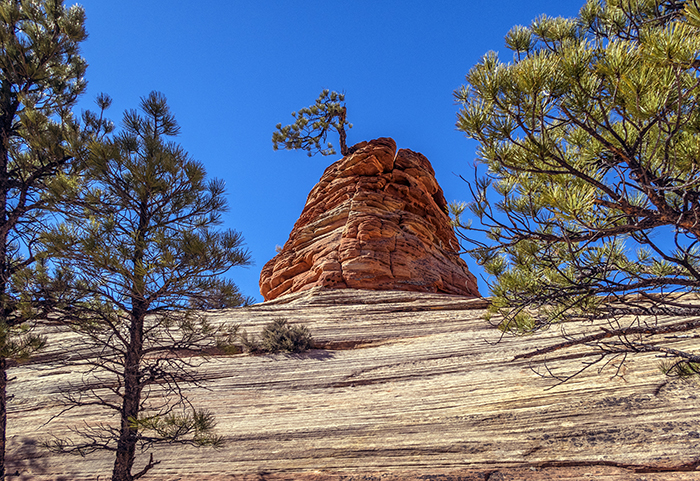 Natural frames, Zion National Park / Rebecca Latson Natural frames, Zion National Park / Rebecca Latson