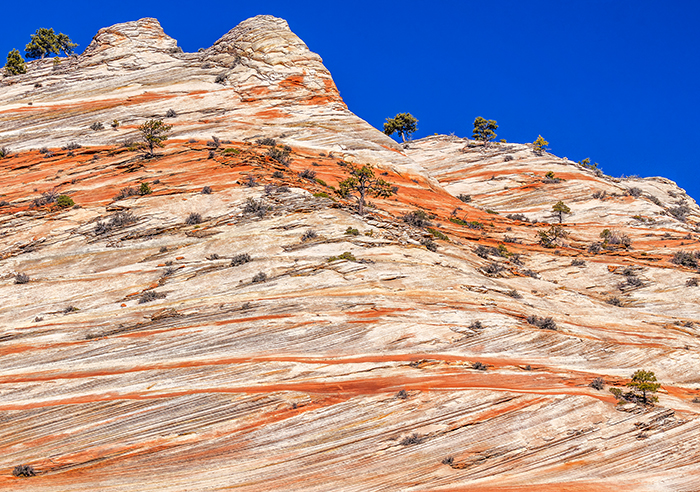 An ancient, cross-bedded sand dune, Zion National Park / Rebecca Latson