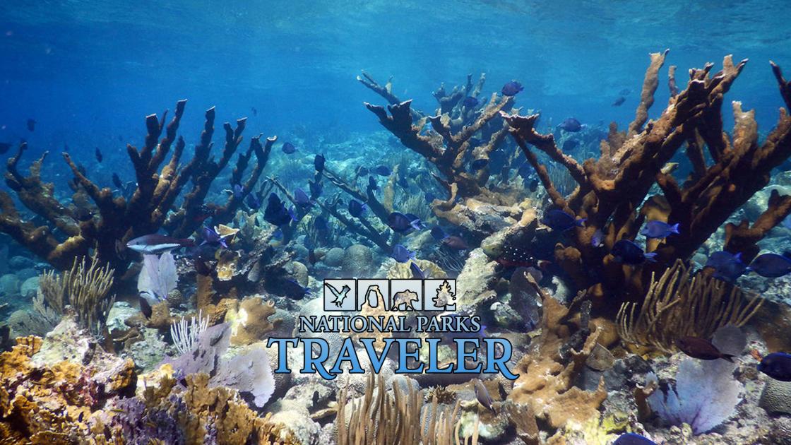 National park podcasts, best national park podcast, coral reefs