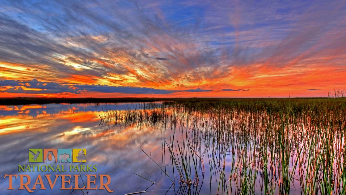 National Park podcast, Everglades National Park, national park news, Everglades Restoration, Everglades water, Everglades wildlife