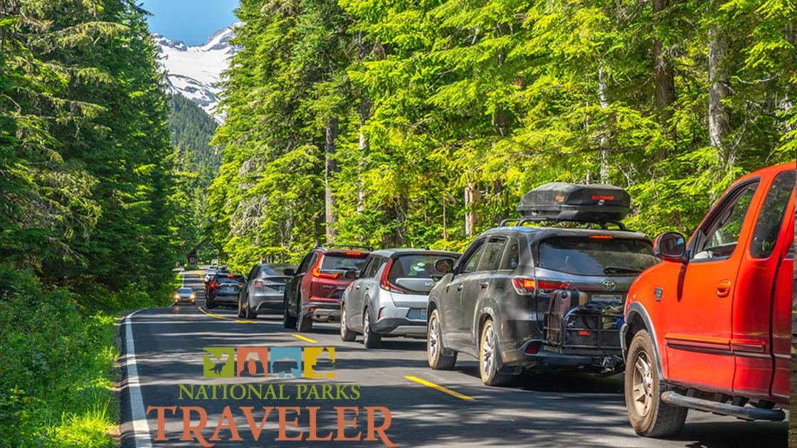 A line of cars waiting to enter Mount Rainier, photo by Rebecca Latson