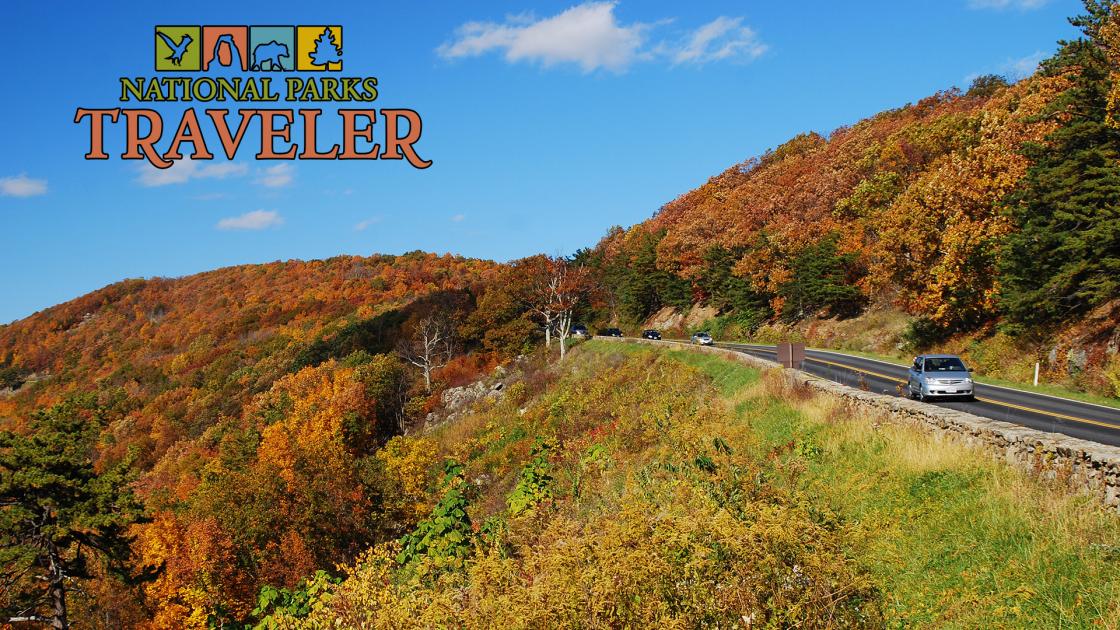 National park lodging in fall and birding at Acadia National Park during migration.