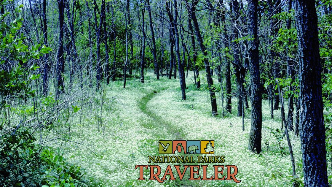 Hiking the Appalachian Trail.