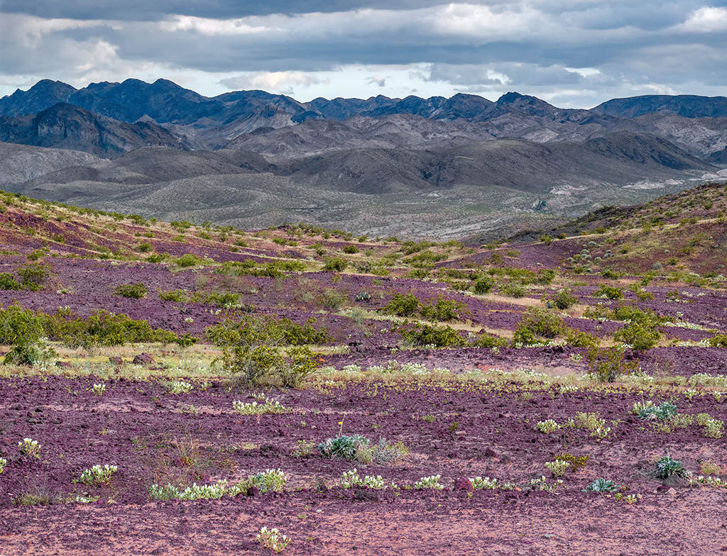 Lake Mead NRA offers two scenic drives for amazing landscape and geologic views / NPS-Andrew Cattoir