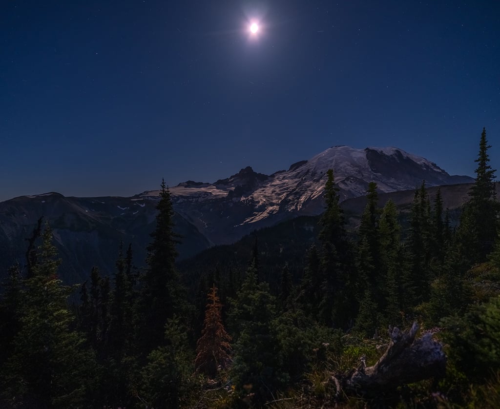 Moonlight sonata along the Frozen Lake Trail, Mount Rainier National Park / Rebecca Latson