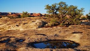 Potholes above Squaw Flats, Canyonlands NP