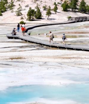 Norris Geyser Basin, Yellowstone NP