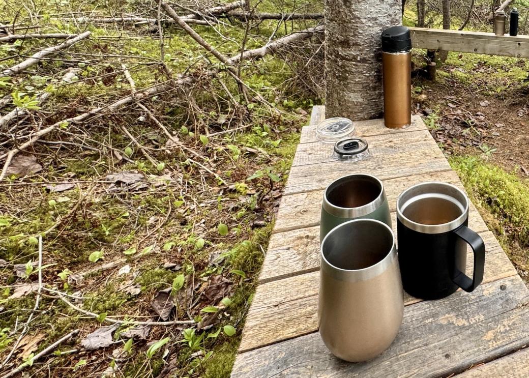 Save one cup of tea for the forest when you're doing forest therapy.