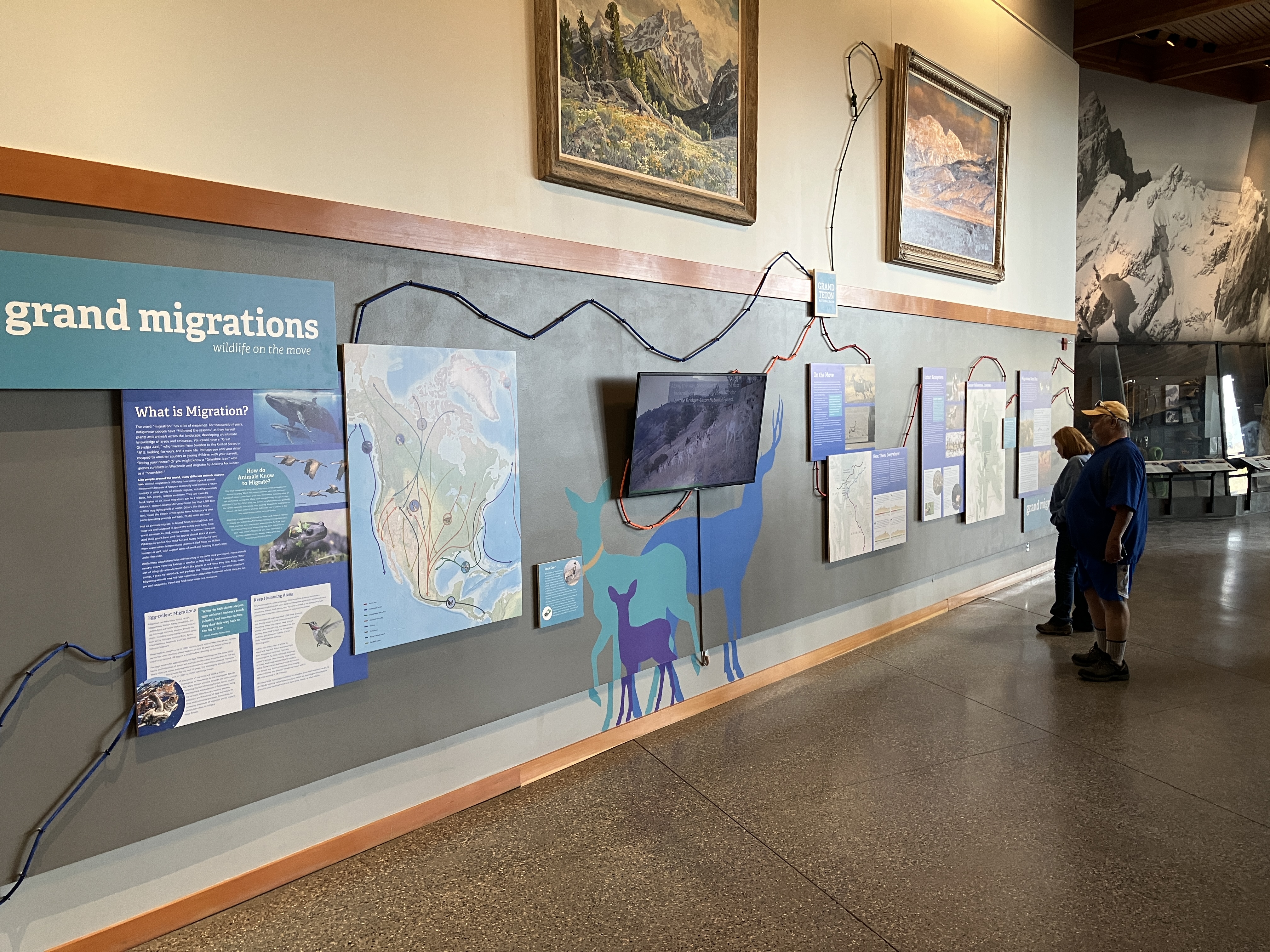  Wildlife on the Move exhibit at Grand Teton National Park’s Craig Thomas Discovery and Visitor Center.
