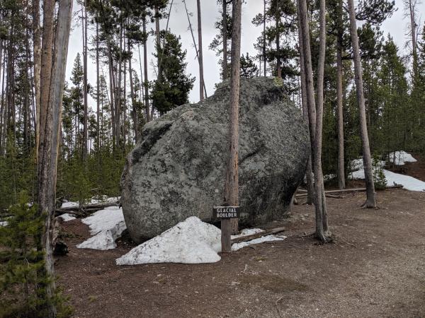Boulder dropped by retreating glacier in Yellowstone National Park