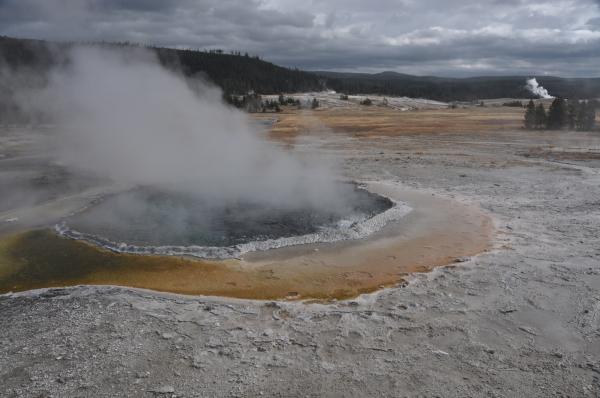 Crested pool, in Upper Geyser Basin near Castle Geyser Crested pool, in Upper Geyser Basin near Castle Geyser