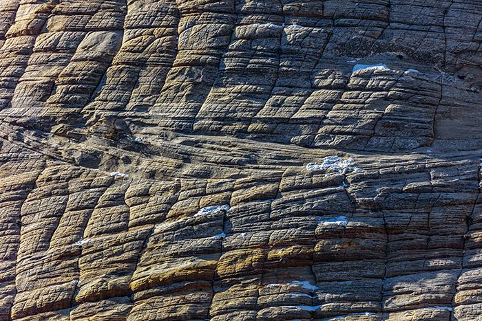 A close-up of cross beds and weathered joints in Checkerboard Mesa, Zion National Park / Rebecca Latson A close-up of cross beds and weathered joints in Checkerboard Mesa, Zion National Park / Rebecca Latson