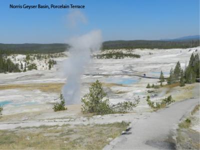 Porcelain Terrace area of Norris Geyser Basin.  Note steam vents in the foreground and many milky-blue silica depositing pools in the distance. (Click image to view full size.)
