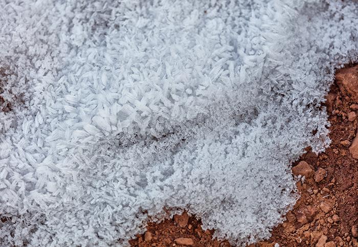 The texture of an icy ground cover, Arches National Park / Rebecca Latson The texture of an icy ground cover, Arches National Park / Rebecca Latson
