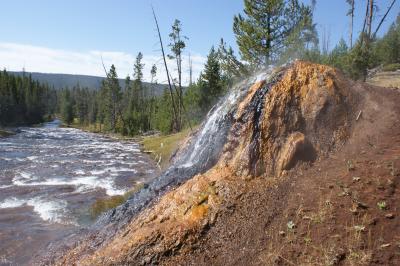 Chocolate Pots discharging into the Gibbon River (Click image to view full size.)