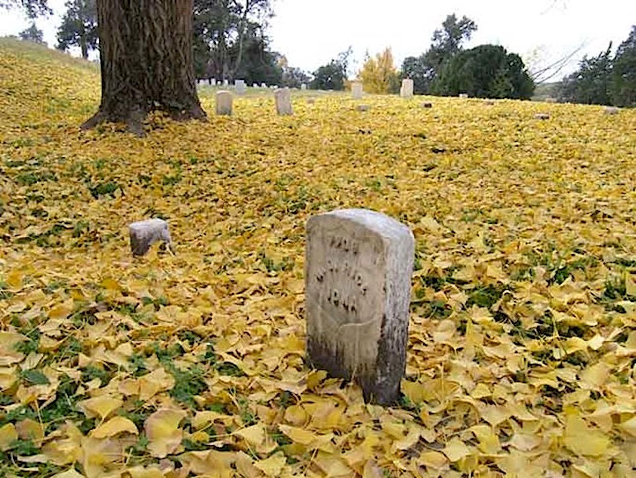 Graves at Vicksburg National Cemetery Have Been Impacted By Climate Change/NPS