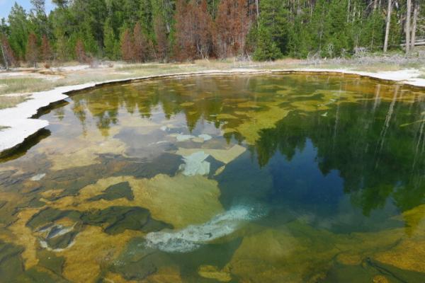 Mushroom Pool, Lower Geyser Basin, Yellowstone National Park Mushroom Pool, Lower Geyser Basin, Yellowstone National Park
