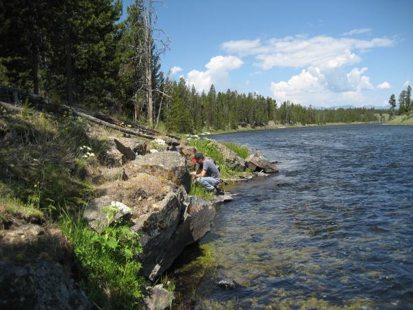 A geologist examples a basaltic lava flow along the Madison River