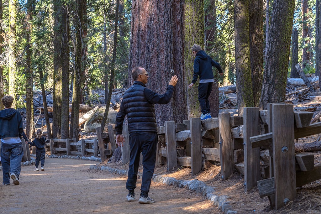 It's not a good idea to walk on the fence along the trail, Sequoia National Park / Rebecca Latson