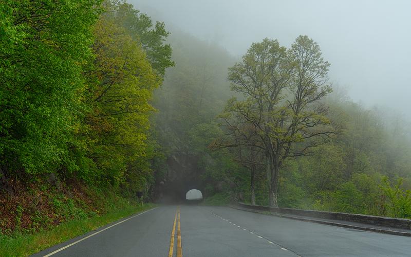 A misty scene of Skyline Drive leading into Marys Rock Tunnel, with green trees and vegetation on both sides of the road, Shenandoah National Park