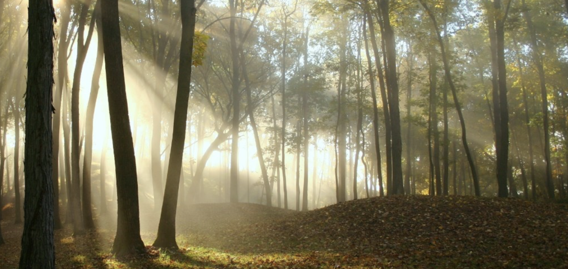 Earthen burial mounds photographed just after dawn / NPS