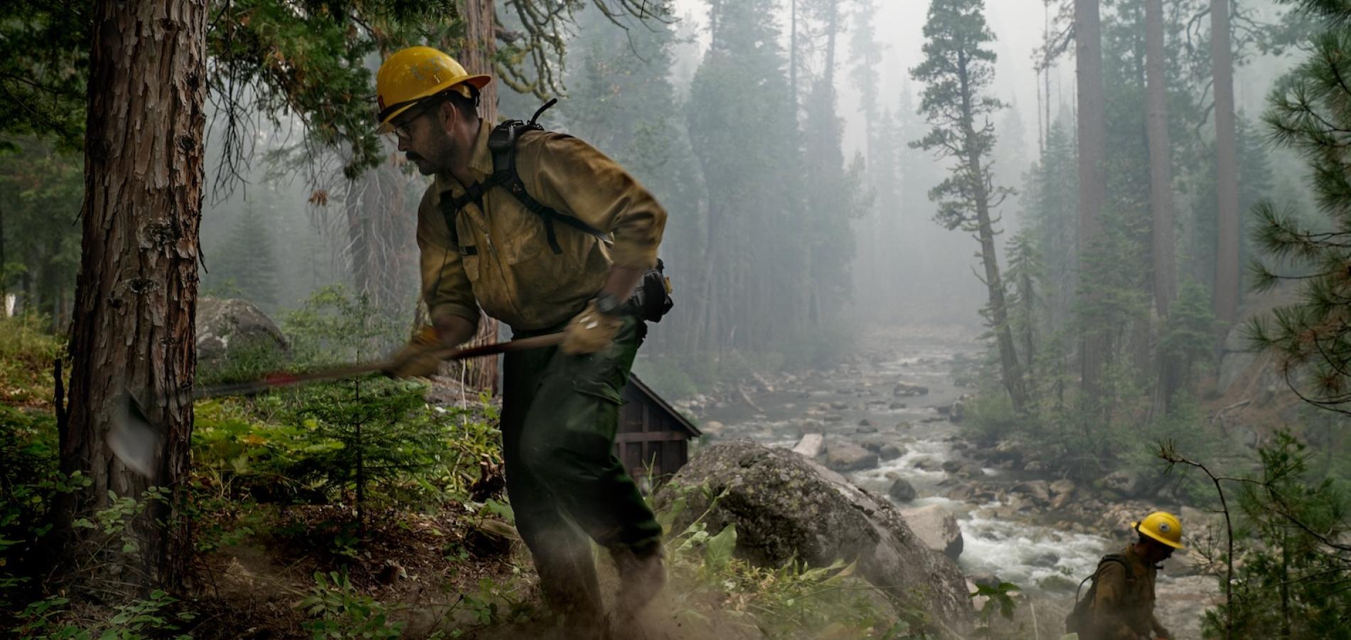 Firefighters clearing fuels to protect a cabin during the Donnell Fire in the Stanislaus National Forest in 2018/USFS, Cecilio Ricardo