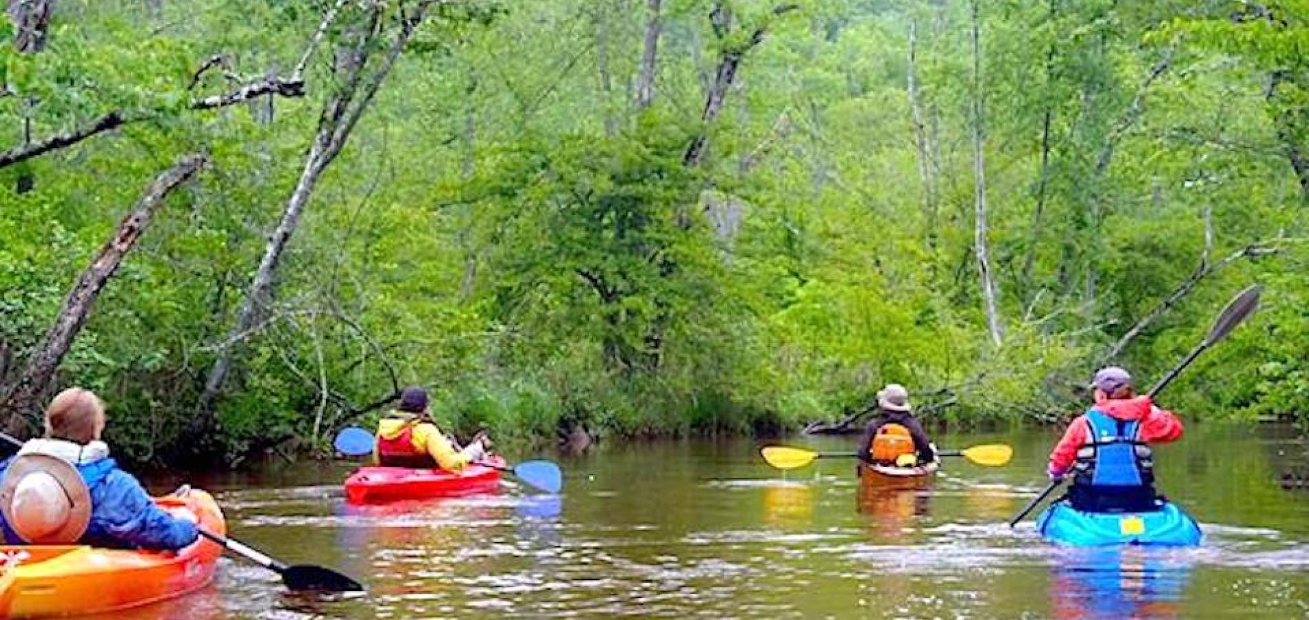 It's possible that Captain John Smith followed this creek, Cat Point, to the Rappahannock River in 1608/Kurt Repanshek