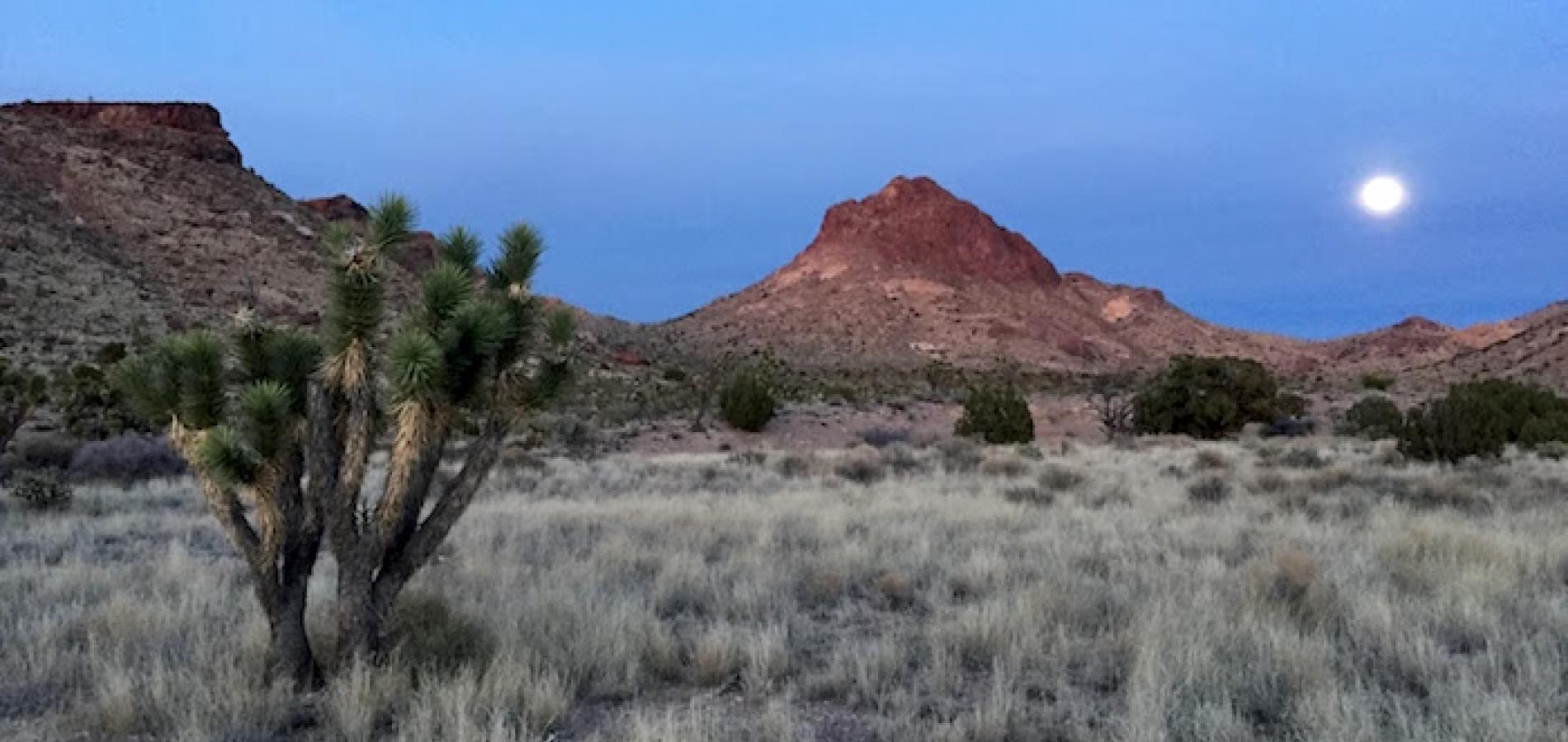 Moonrise over Castle Mountains National Monument/Jim Stratton