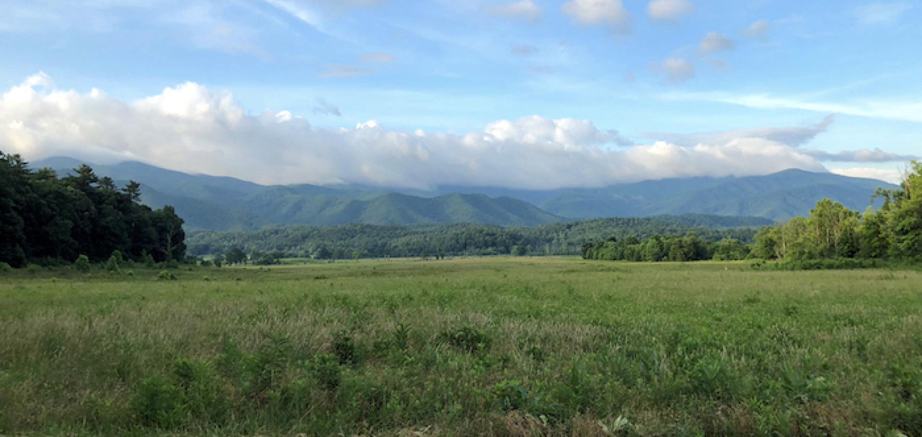 Cades Cove on a car-free Wednesday morning/Danny Bernstein