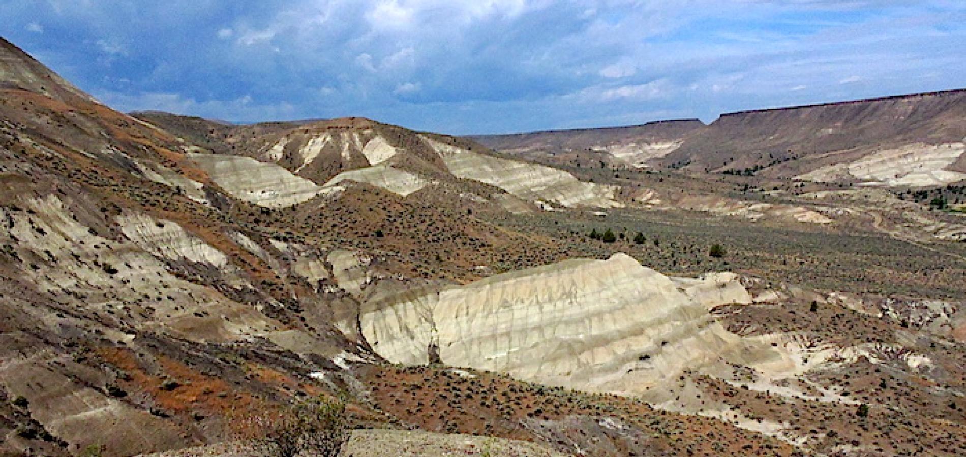 The rough and rocky landscape of John Day Fossil Beds/Lee Dalton