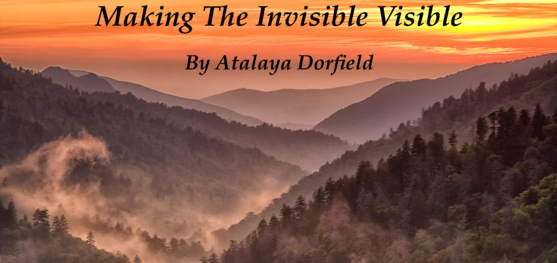  The African American Experiences Project: Making the Invisible Visible