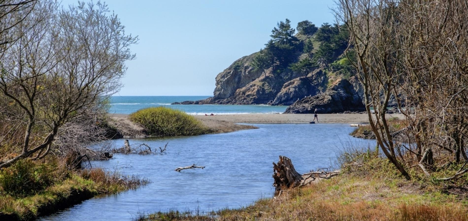 Restoration of Redwood Creek has helped improve the fishery. This view follows the creek down into a lagoon on Muir Beach/NPS Kirke Wrench Restoration of Redwood Creek has helped improve the fishery. This view follows the creek down into a lagoon on Muir Beach/NPS Kirke Wrench