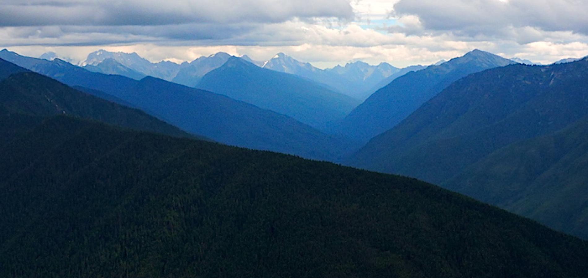The "worthless" interior of Olympic National Park