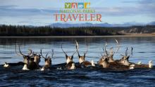 National Parks Traveler Podcast Episode 206 Image