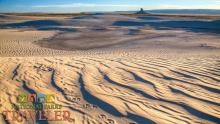 A wide-screen image of a desert, with animal tracks in the sand