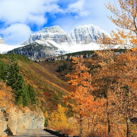 Winter's coming to Glacier, copyright Jane Timmerman