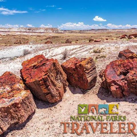 National Parks Traveler Podcast Episode 222 Image National Parks Traveler Podcast Episode 222 Image
