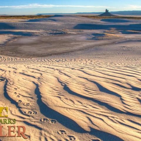 National Parks Traveler Podcast Episode 227 Image A wide-screen image of a desert, with animal tracks in the sand