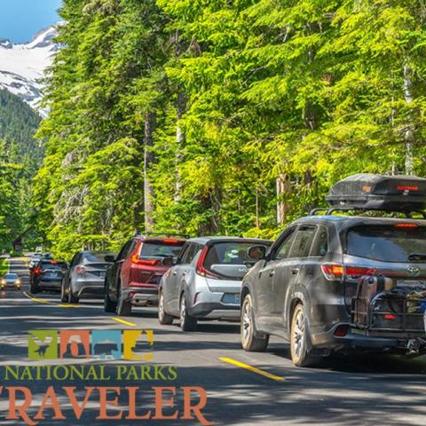 National Parks Traveler Podcast Episode 258 Image A line of cars waiting to enter Mount Rainier, photo by Rebecca Latson