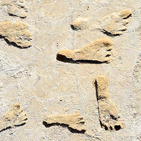 Fossilized footprints, USGS photo from White Sands National Park