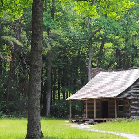 Carter Shields cabin in Great Smoky Mountains National Park. NPS photo.