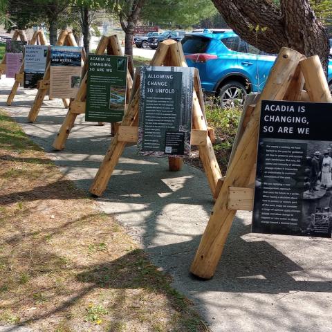 Waysides on a sidewalk at Acadia National Park. NPS photo by Jay Elhard.