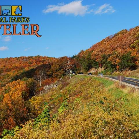 National park lodging in fall and birding at Acadia National Park during migration. National park lodging in fall and birding at Acadia National Park during migration.
