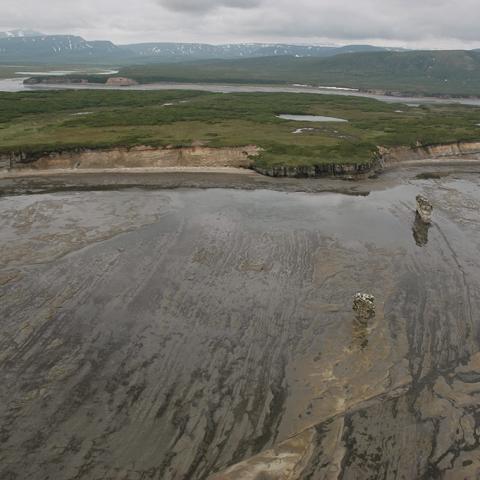 A raised marine terrace, Alagnak Wild River