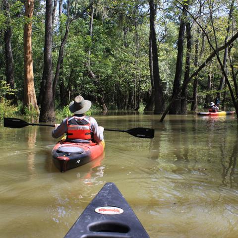 first-person view from a canoe looking toward two kayakers paddling through a forested waterway in Big Thicket National Preserve