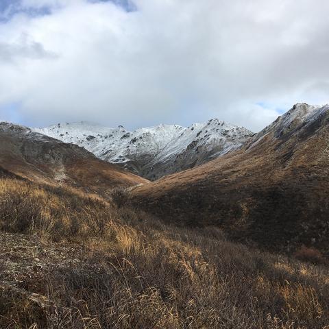 A dusting of snow over a mountain peak framed by smaller brown mountain sides, Denali National Park and Preserve