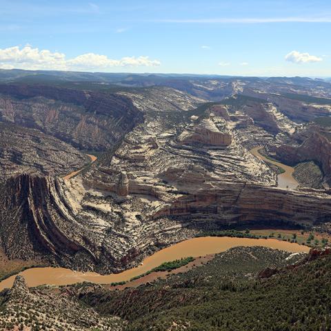 A muddy ribbon of river with folded and faulted rocks beneath a blue sky at Dinosaur National Monument